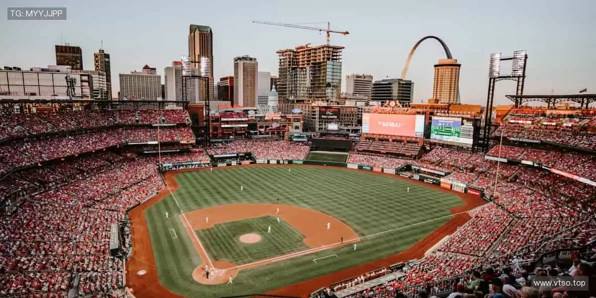 专业周边，品质之选！🎾